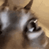 3828