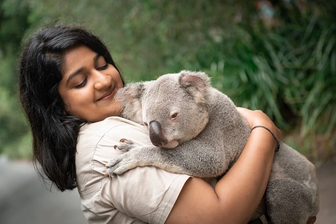 Cuddley Koala Encounter Dhwani