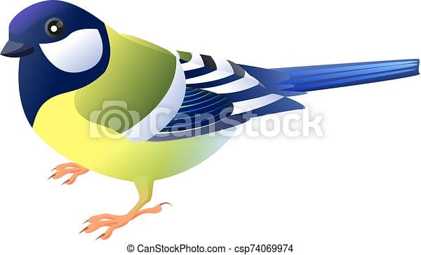 One bird great tit side view profile image csp74069974