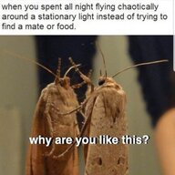 1633371694258