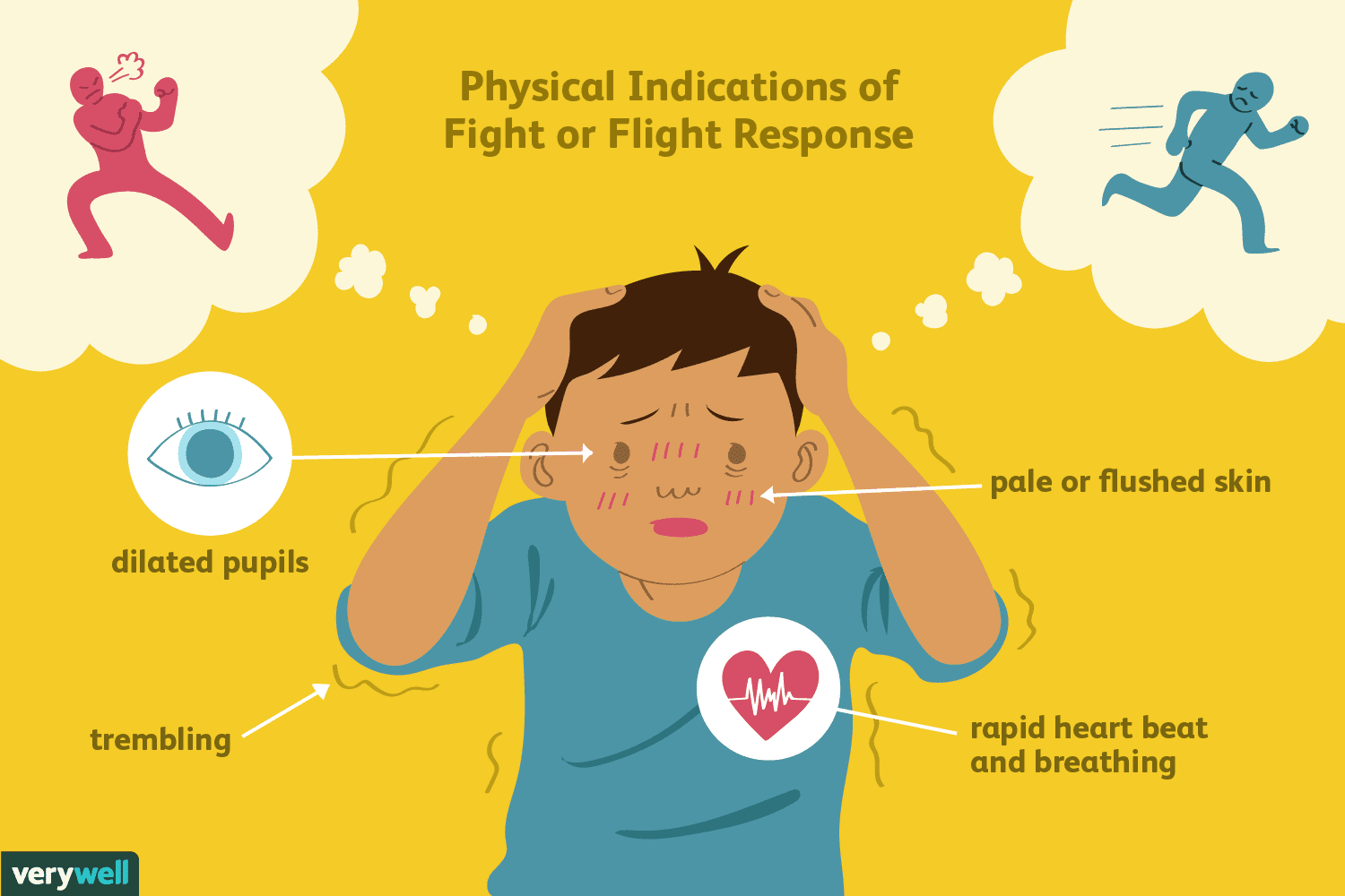2795194 article what is the fight or flight response 5a98601d8e1b6e0036df2951
