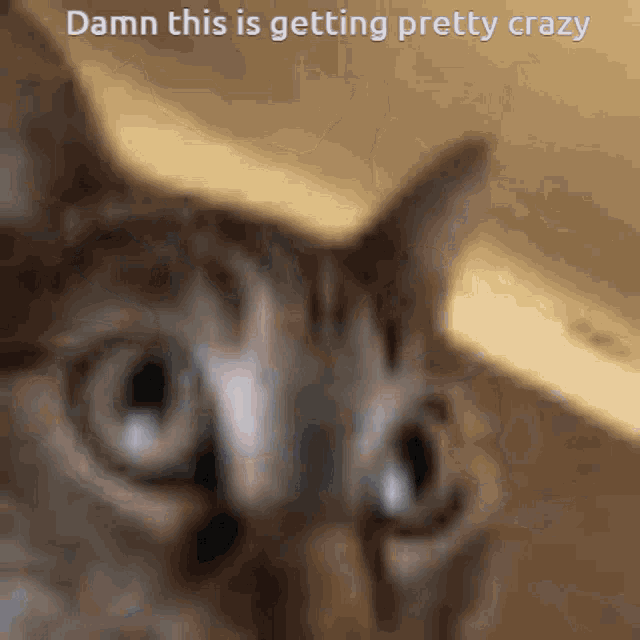 AAAAAAAAAAAAAAAAAAAAA