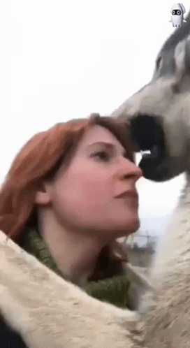 Wolf kiss