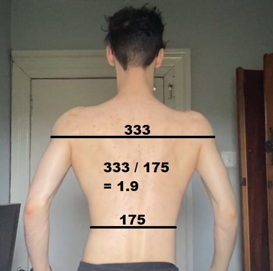 Shoulder waist ratio 2