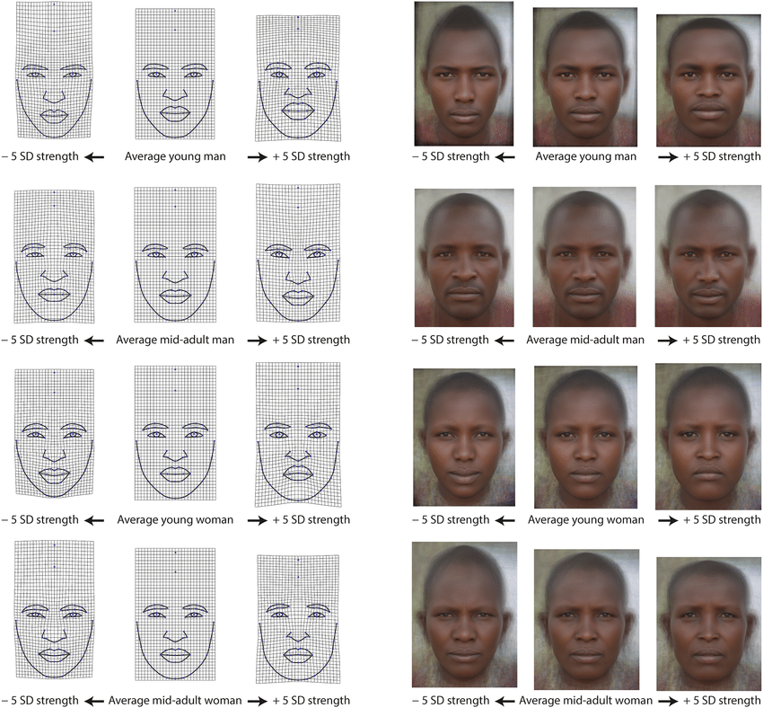 Facial shape correlates of handgrip strength HGS in the Maasai Thin plate spline