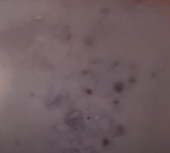 1634061602500