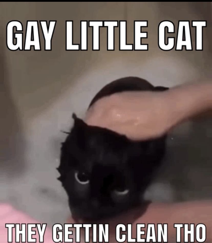 33AACA7F 0A6E 49EF B185 9E45586FAA8F