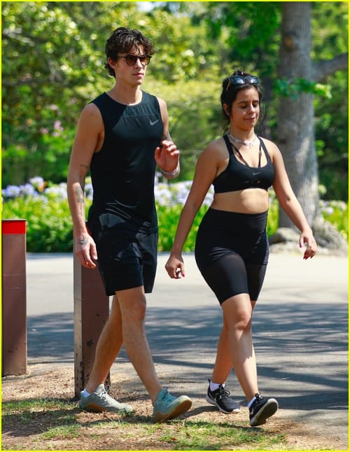 Shawn mendes camila cabello look so in love on a stroll in la 08