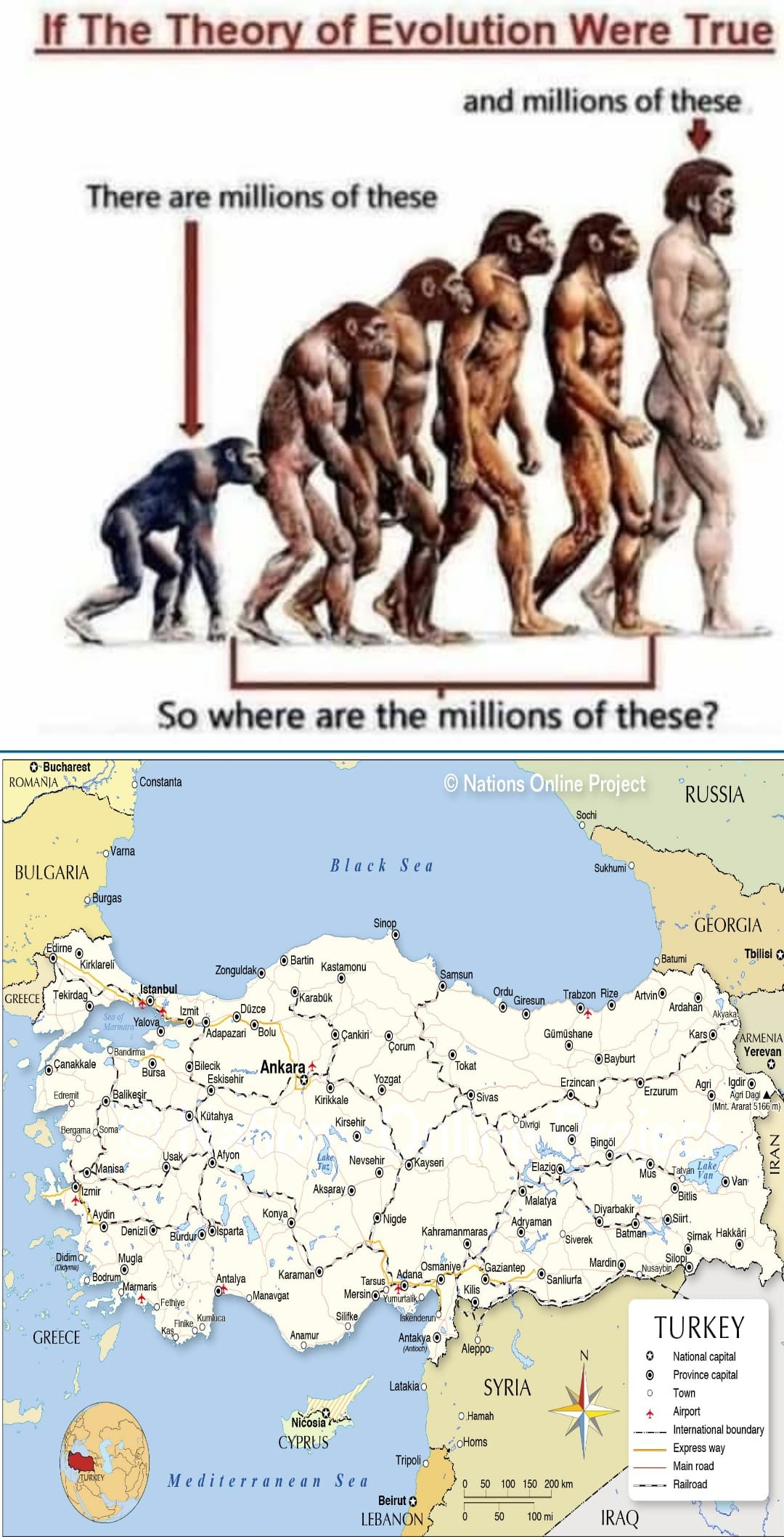 1634301450303