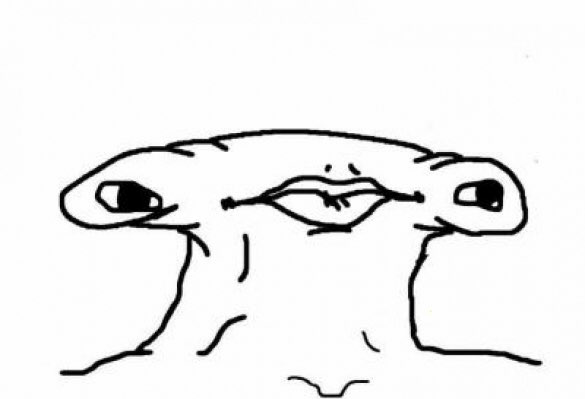 1635076034551