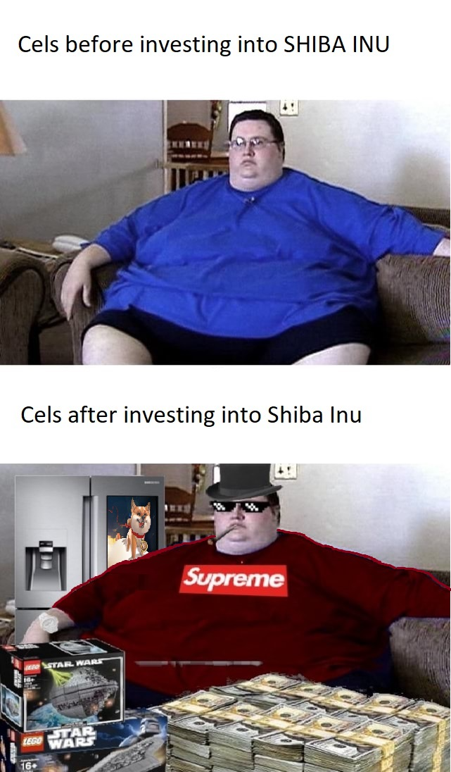 Shib