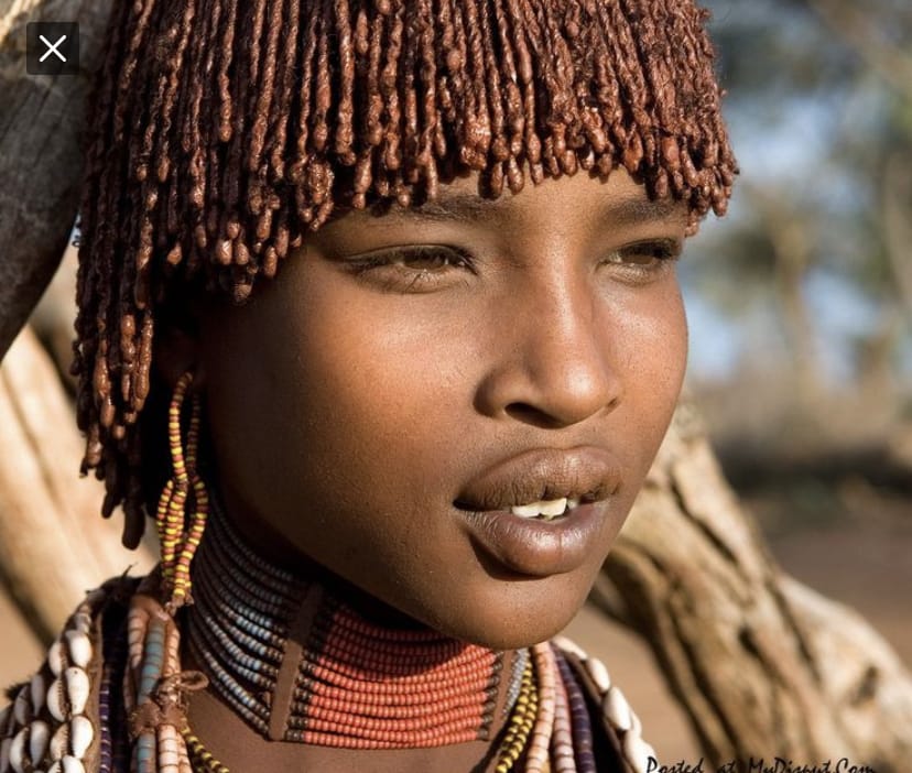 4D366B73 34C7 43BD 95D8 5FCA8FD0EEF1