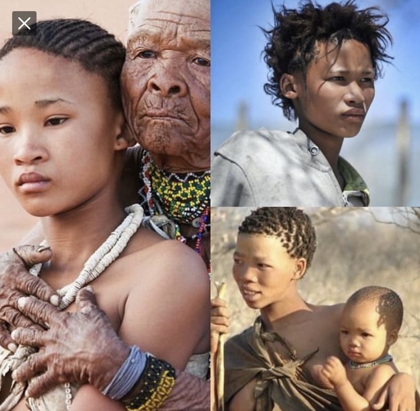 7C9DD24F E074 4081 9725 DFD7BF991279