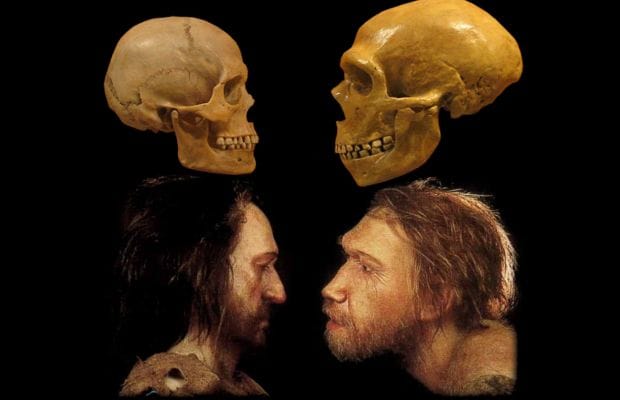 5a9346048a8346000119f054 top 10 interesting theories about cavemen