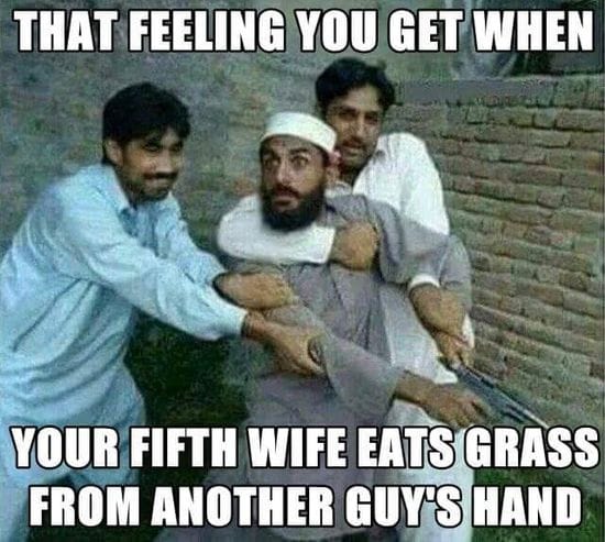 AD42F8C6 EF2A 4D78 8FBE B1849E113657