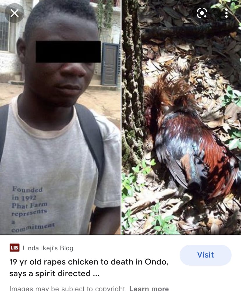 04827FFD A966 4109 AB8F 7C032D9D987B