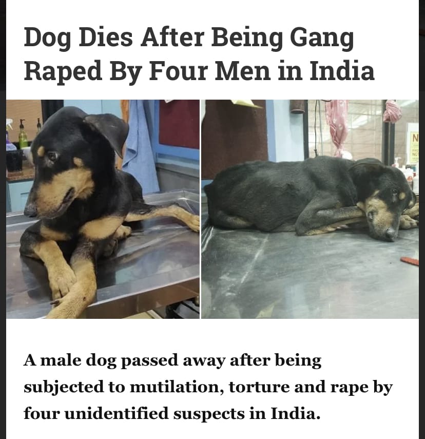 707CB924 18DF 4B37 9DF0 87DBC438D721