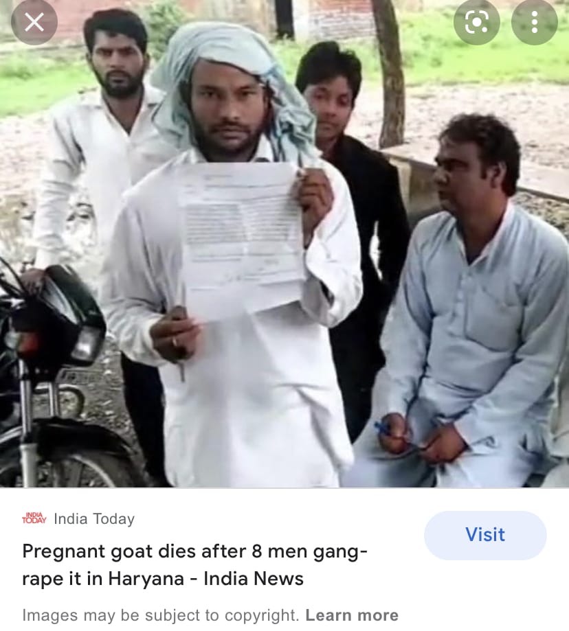 9D3A089A 93CD 4230 8876 8E04C5BA3FE4