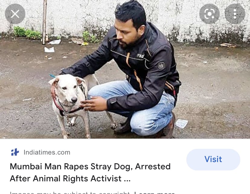 E0F3736A B194 4E87 B147 787F30D67918