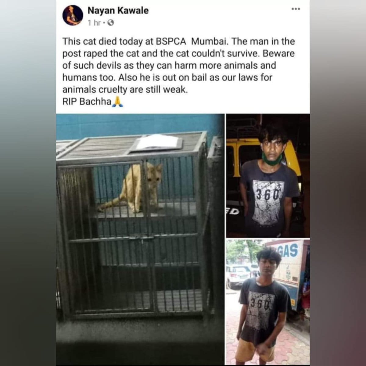 8CB8BC22 5A35 41D2 8DF7 8F679F6306CC