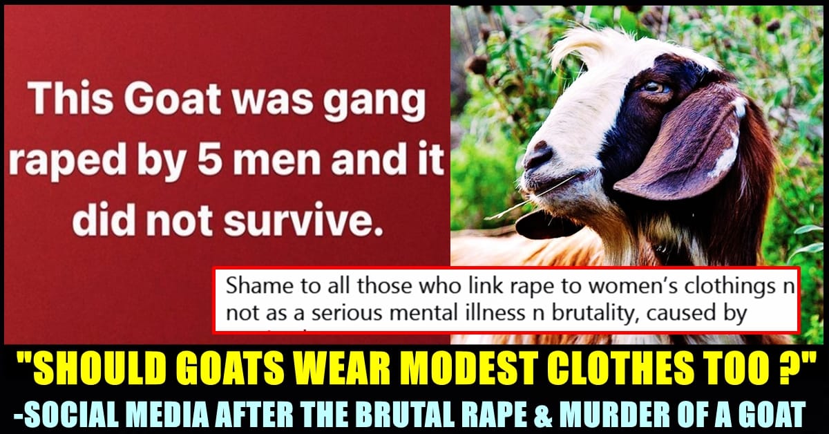 AFD8A7EB 731F 4DC2 8D00 967753380779