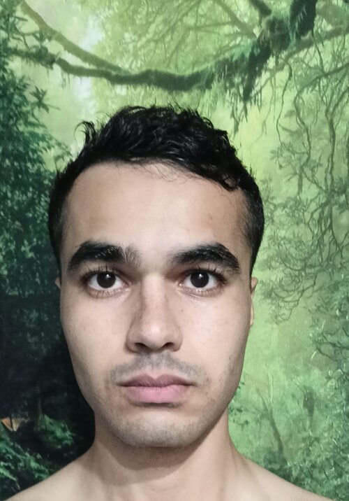 Inceltard.jpg