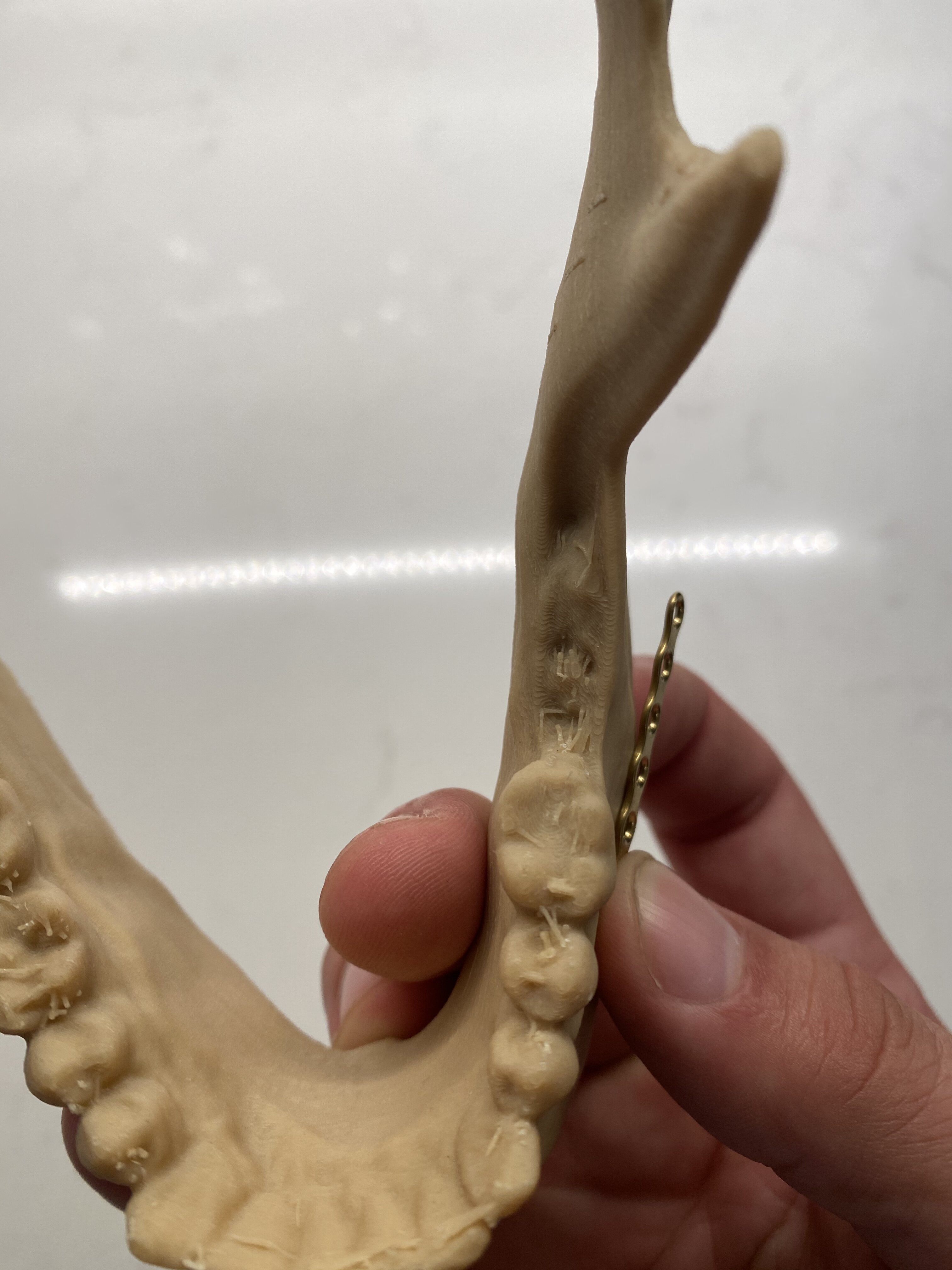 883E37F5 BA0A 4414 971A AF97AF30E1CA