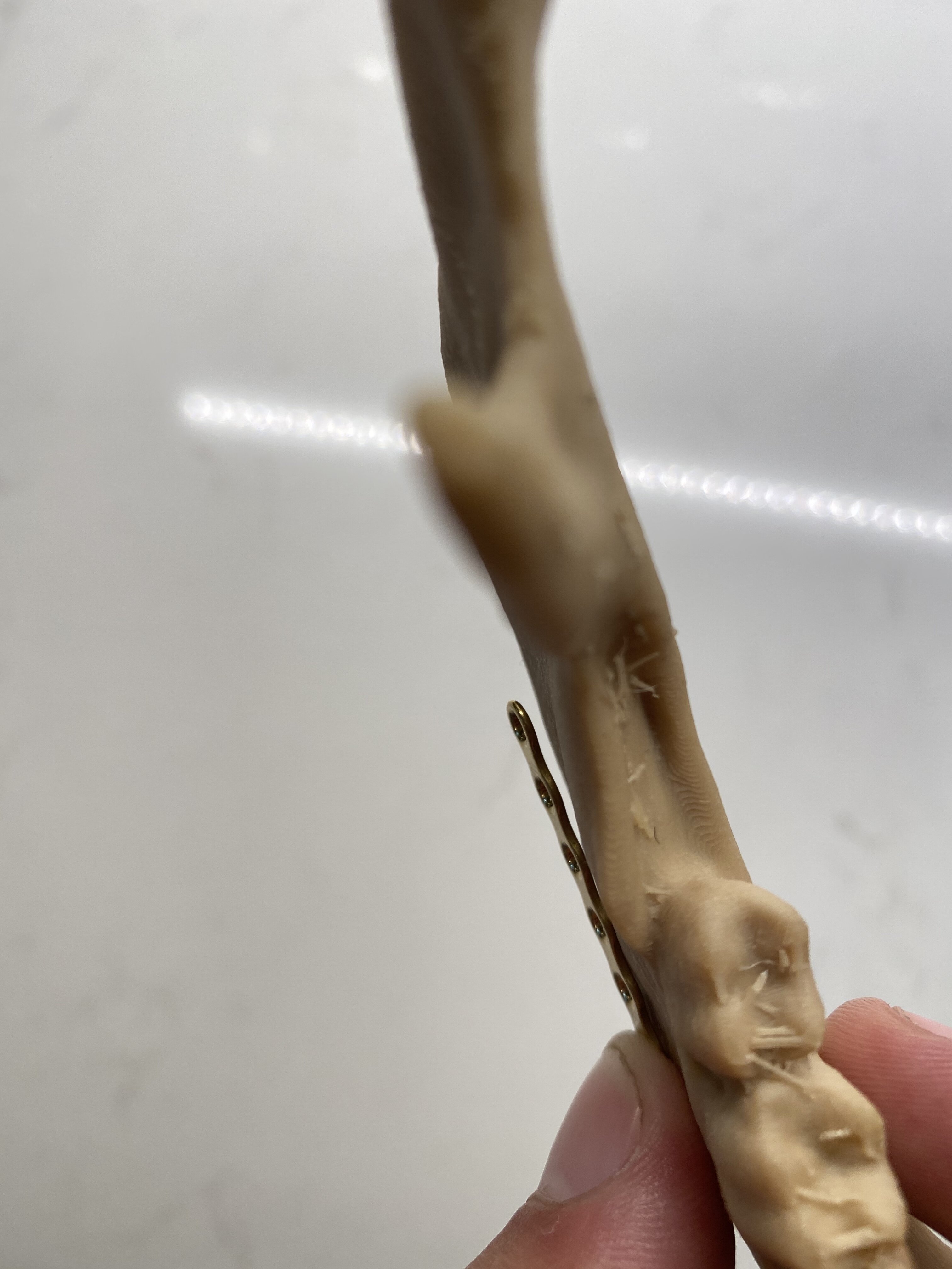 165ADC13 630D 424E 94D1 D9472C95A7BD