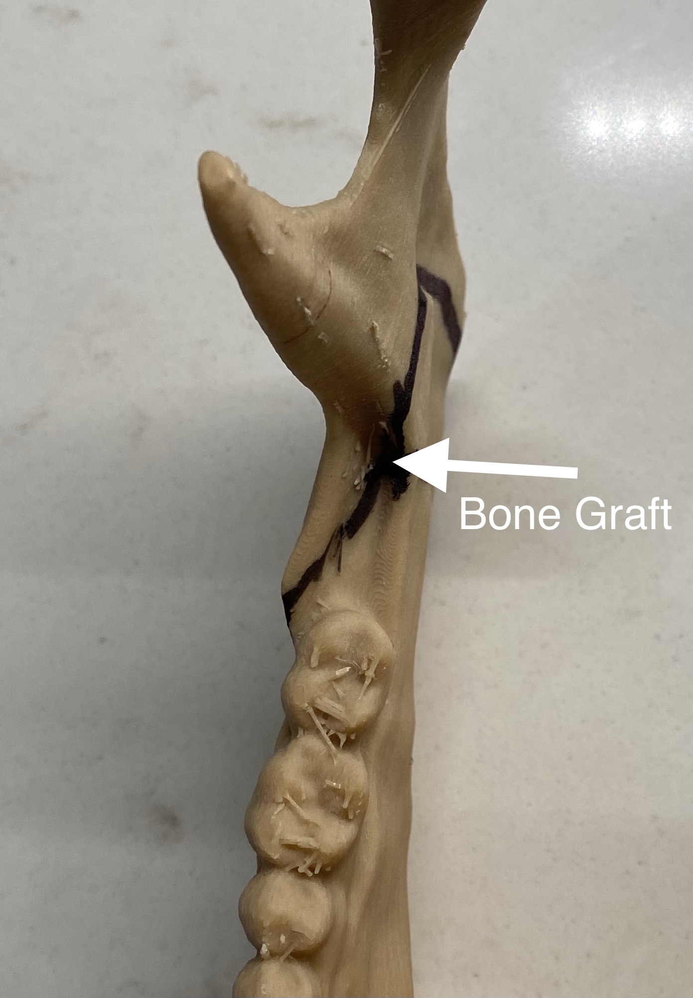 847597B7 4F01 458F B528 605A4536C900