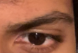 1637508718396