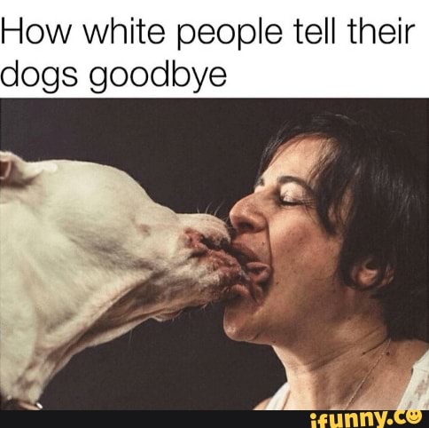 1637579405877