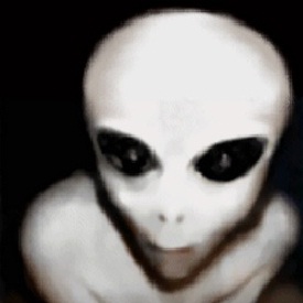 324387 alien gray