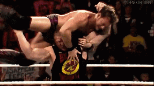 Brock lesnar f5
