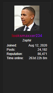 Looksmaxxer234