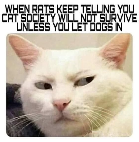 1635798536624