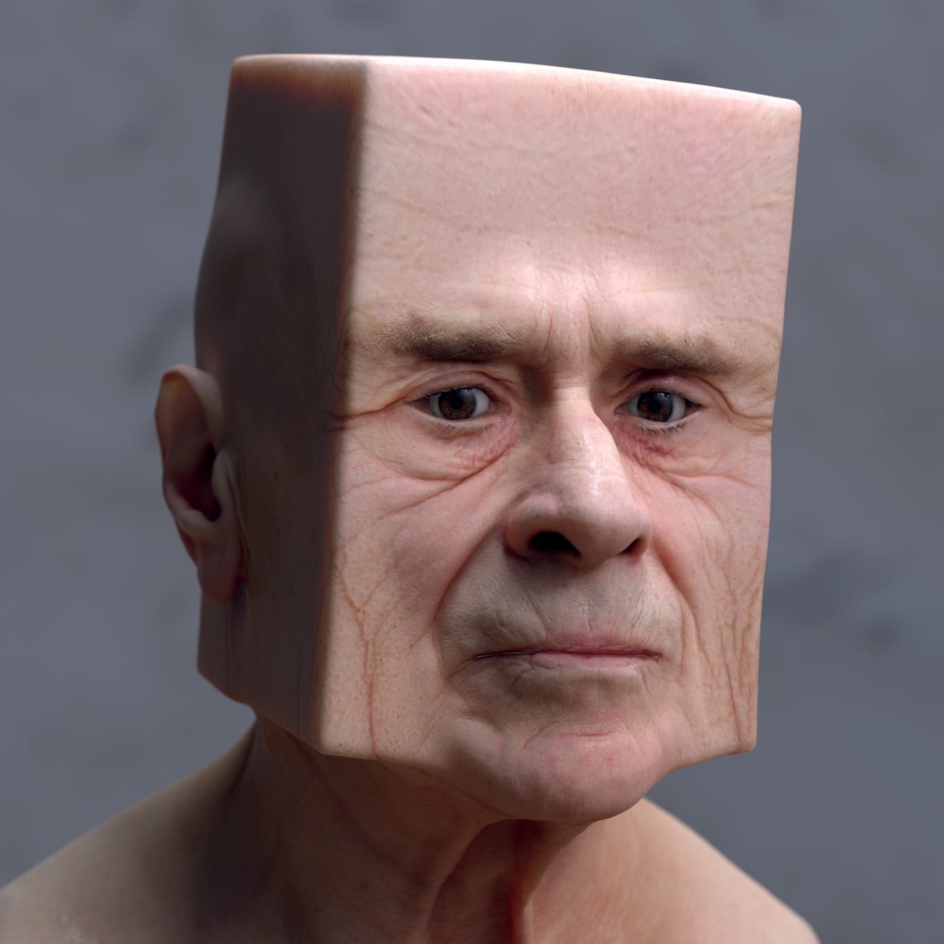 The ideal jaw