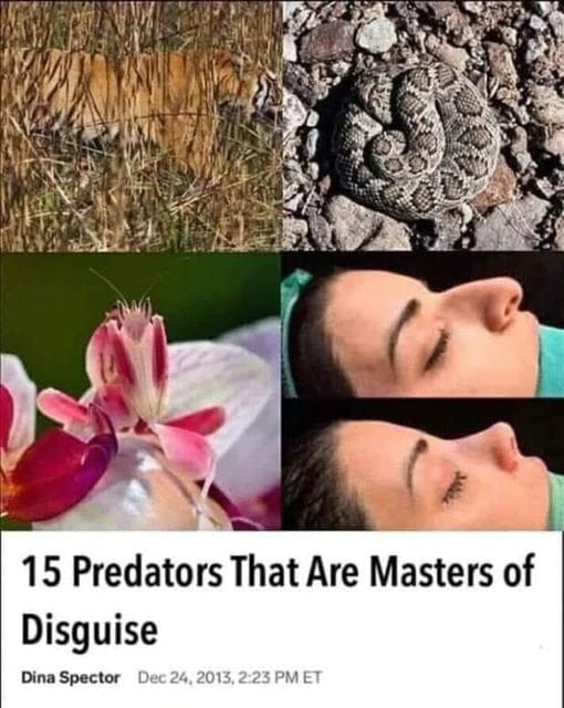 1636242596186