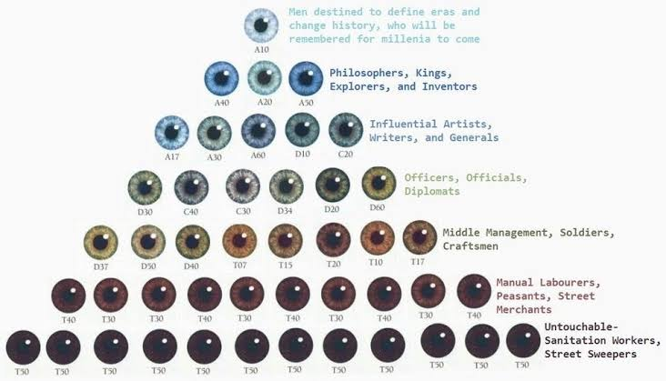 Eyecolors jpg