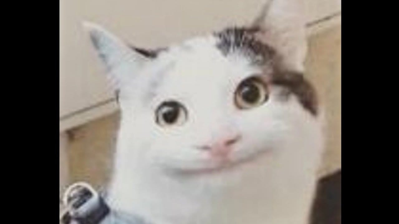 Maxresdefault 13