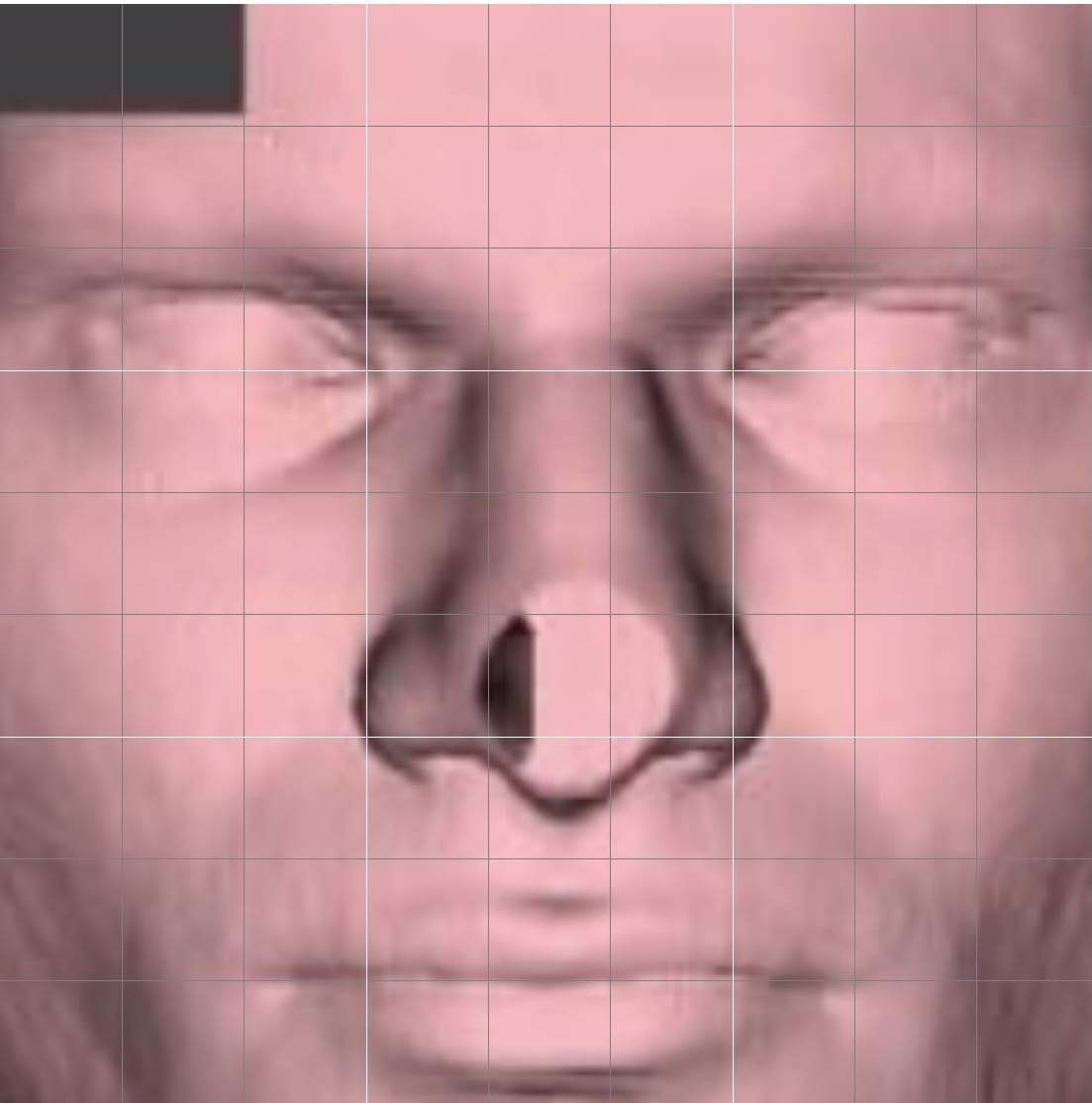 0D79F531 CAE5 443C 9502 5428D906634B