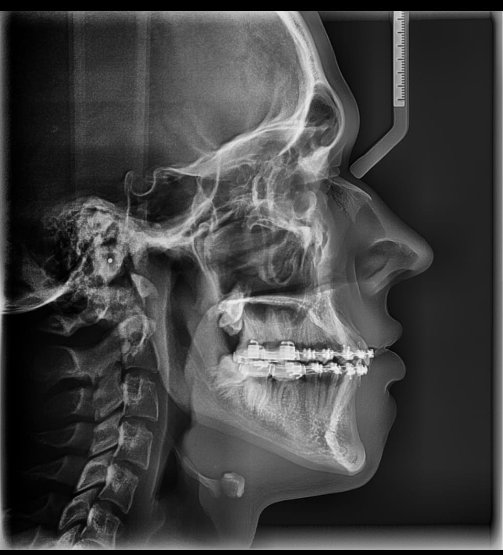 Screenshot 20211112 174519