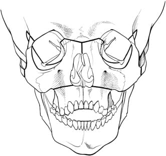 491DE06E 78F6 4A33 A1DB C3A87B59876A