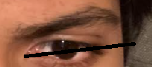 1636808130506