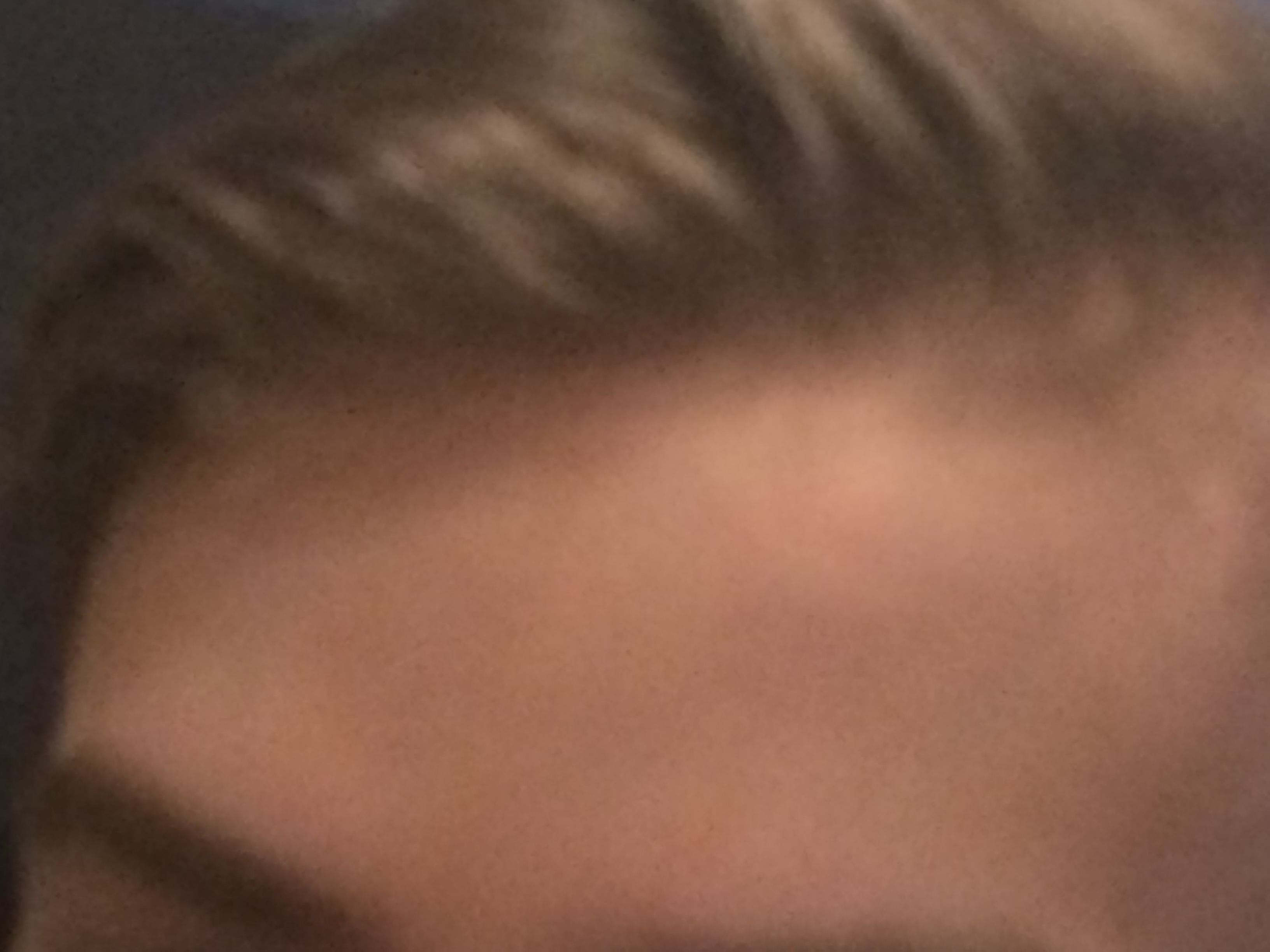 IMG 0290
