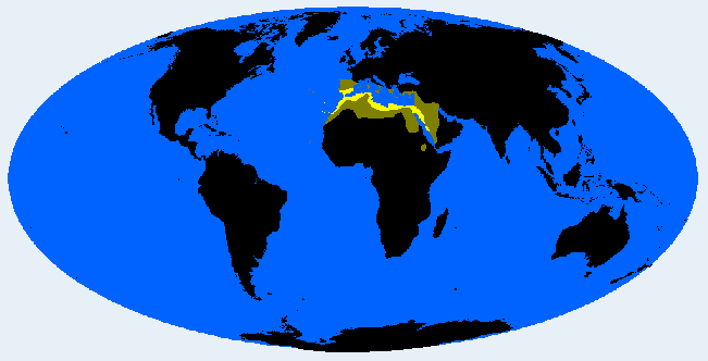 1637025484935