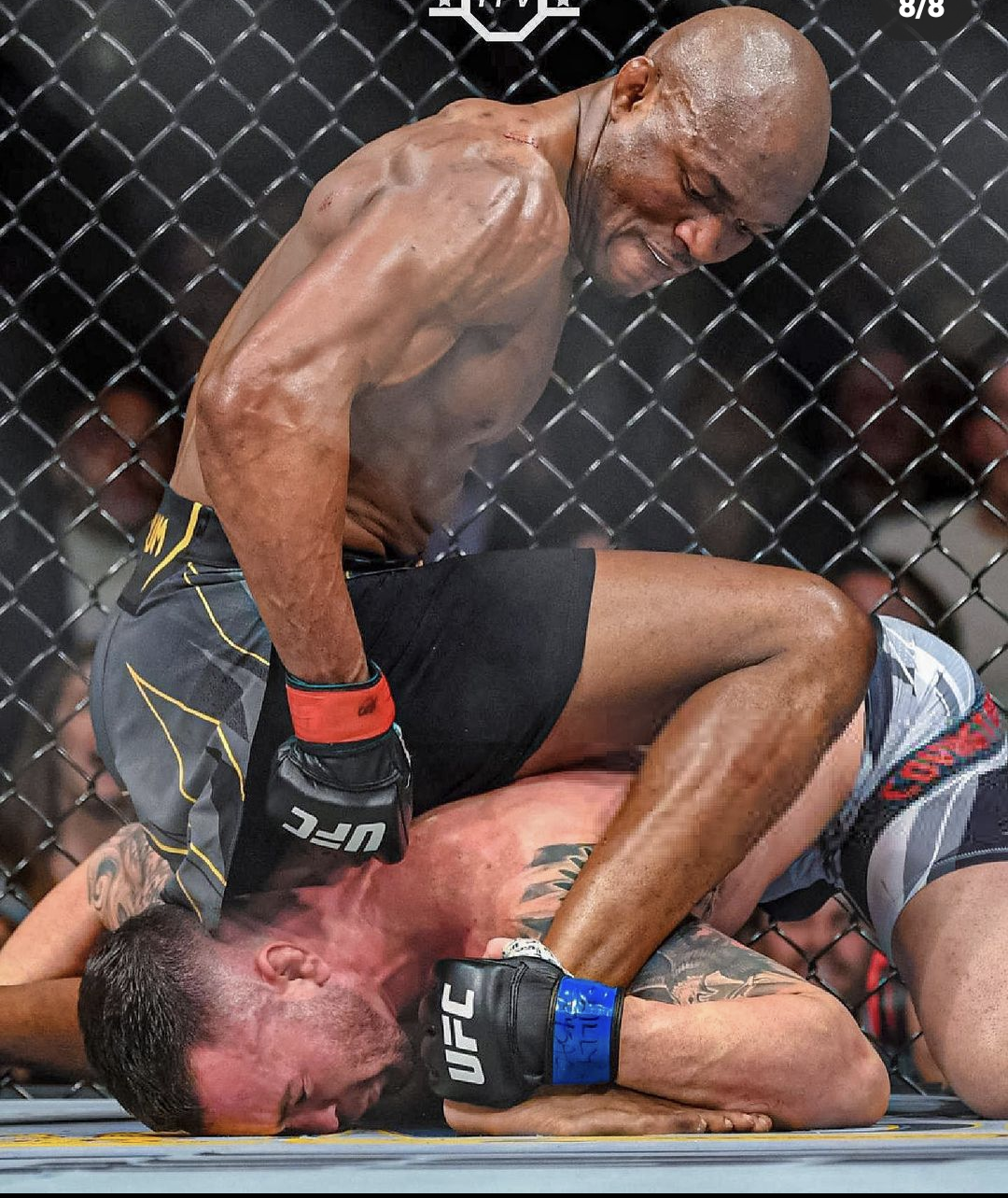 Screenshot 20211108 0220252