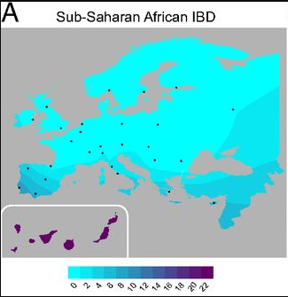 Map of African admixture in European populations2