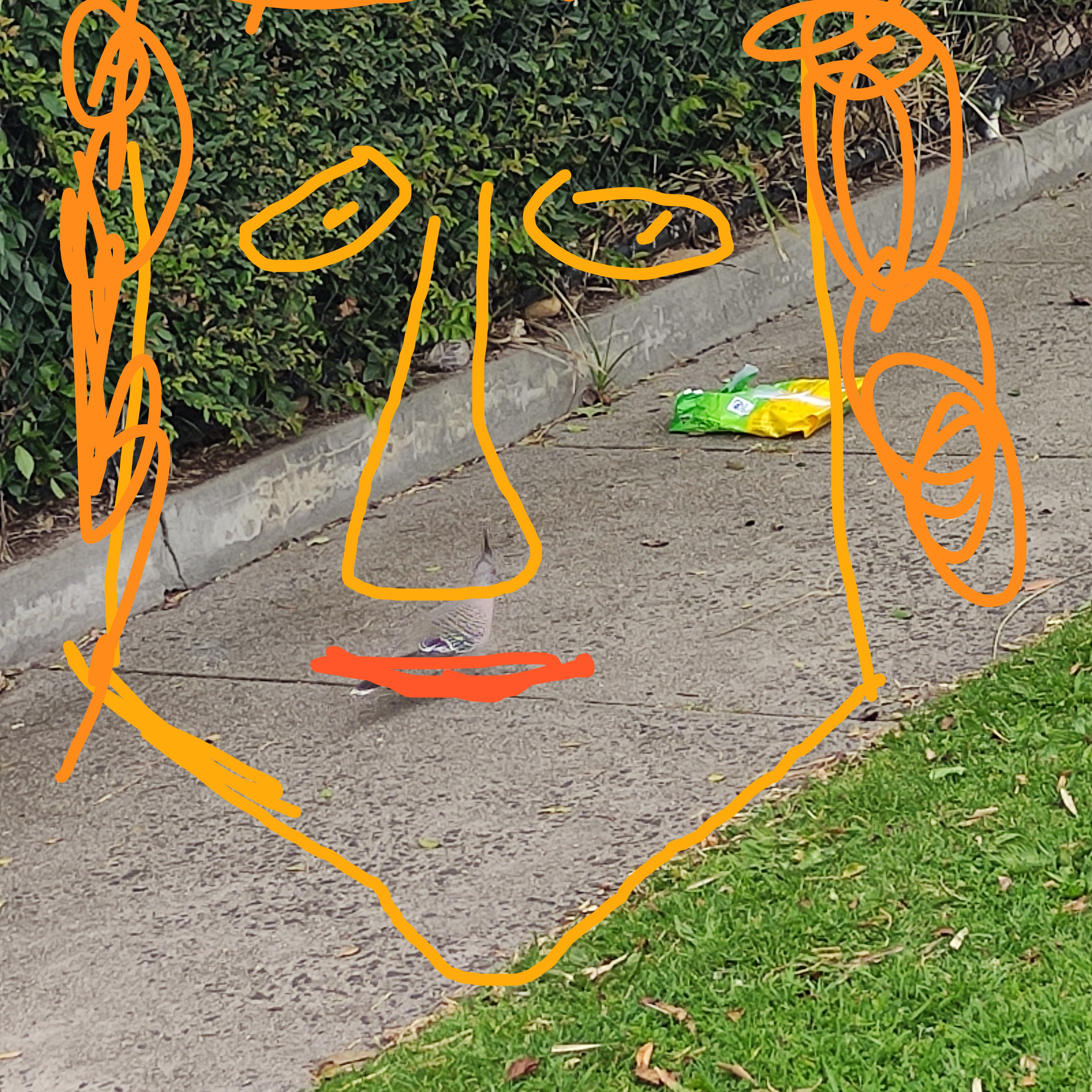 IMG 20211124 012531