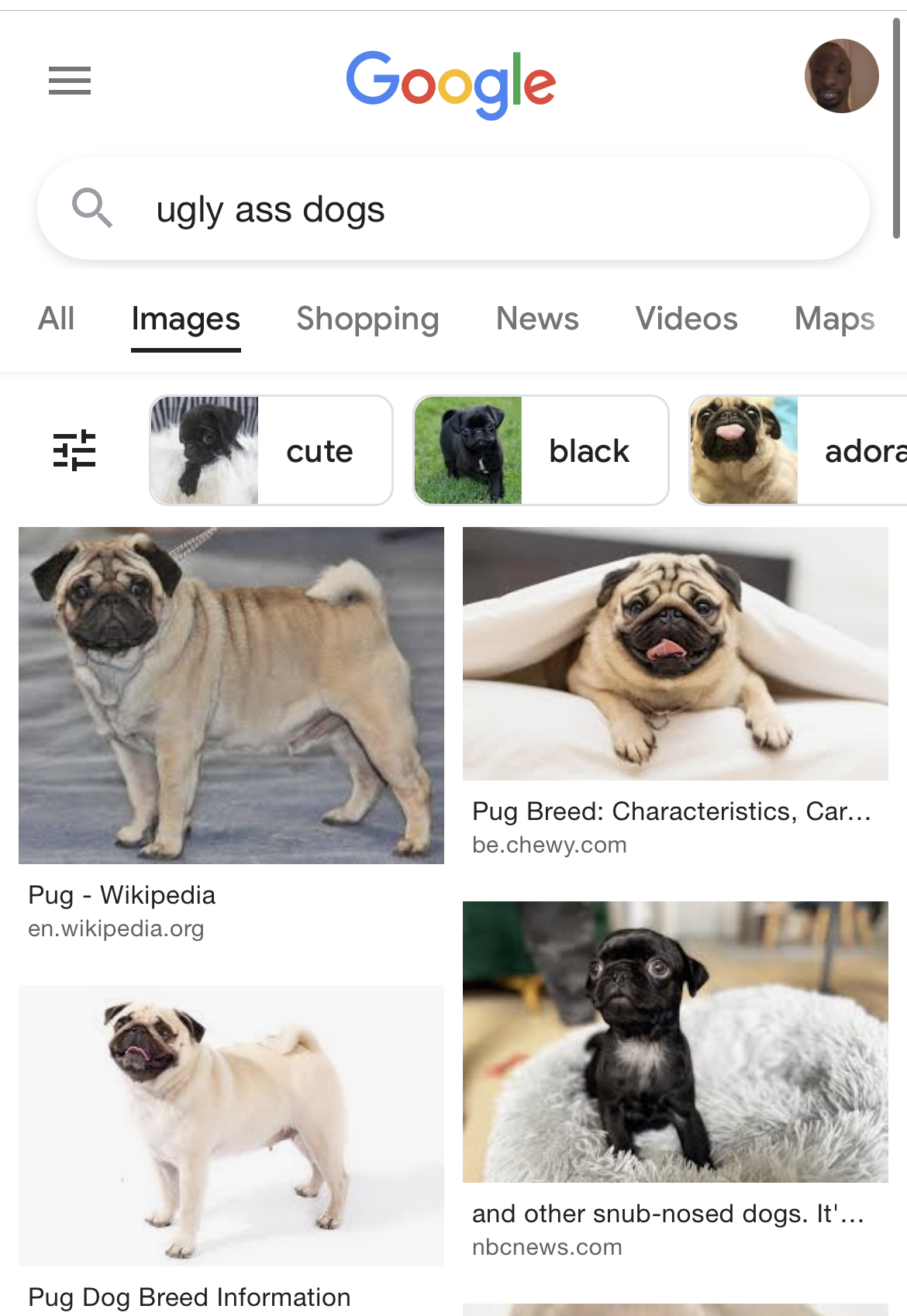 27FB856E 22D8 4B51 8E2A 8DC862F97B9A