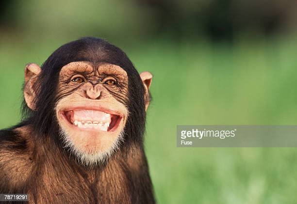 Gettyimages 78719291 612x612